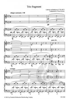 Trio Fragment von Ludwig van Beethoven 
