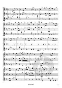 Trio in D-Dur von Franz Anton Hoffmeister 