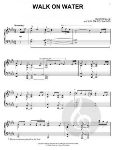 Walk On Water von David Lanz 
