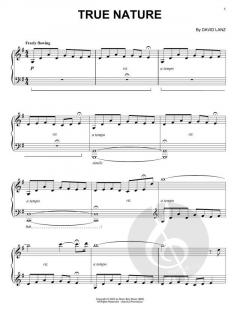 True Nature von David Lanz 