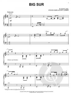 Big Sur von David Lanz 