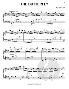 The Butterfly von David Lanz 