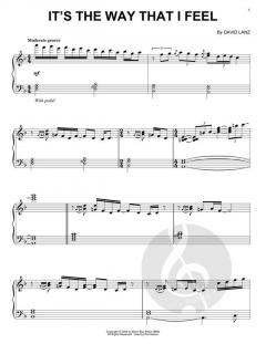 It's The Way That I Feel von David Lanz 