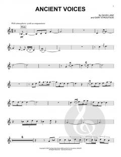 Ancient Voices von David Lanz 