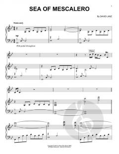 Sea Of Mescalero von David Lanz 