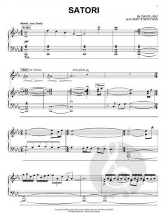 Satori von David Lanz 