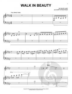 Walk In Beauty von David Lanz 