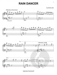 Rain Dancer von David Lanz 