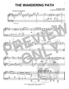 The Wandering Path von David Lanz 