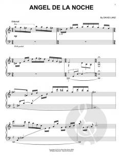 Angel De La Noche von David Lanz 