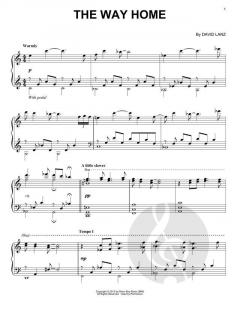 The Way Home von David Lanz 