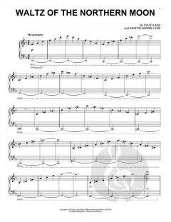 Waltz Of The Northern Moon von David Lanz 