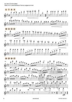 Stars and Stripes von John Philip Sousa 