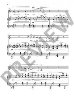 Fünf Lieder op. 99 von Stefan Heucke (Download) 