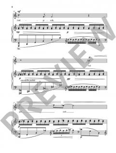 Fünf Lieder op. 99 von Stefan Heucke (Download) 