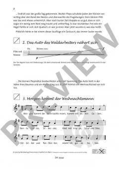 Pitti Pieps rettet das Weihnachtsfest von Almut Werner 