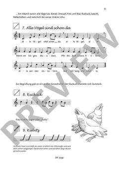 Pitti Pieps rettet das Weihnachtsfest von Almut Werner 