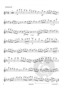 Concerto in g-moll von Oskar Rieding 