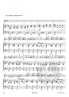 Concerto in g-moll von Oskar Rieding 