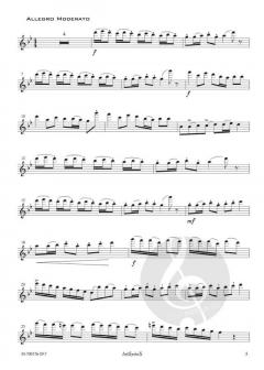 Concerto in g-moll von Oskar Rieding 