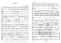 13 Sonaten - Band 1 von Giuseppe Sammartini 