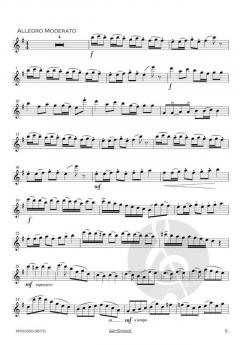 Concerto in e-Moll op. 35 von Oskar Rieding 