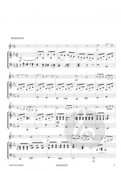 Concerto in e-Moll op. 35 von Oskar Rieding 