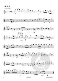 Concerto in e-Moll op. 35 von Oskar Rieding 