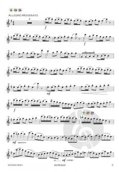 Concerto in e-Moll op. 35 von Oskar Rieding 