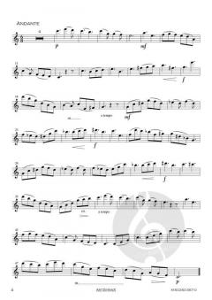 Concerto in e-Moll op. 35 von Oskar Rieding 