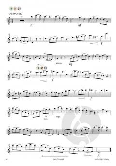 Concerto in e-Moll op. 35 von Oskar Rieding 