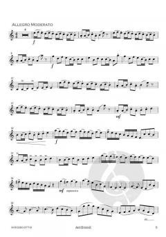 Concerto in a-Moll op. 35 von Oskar Rieding 