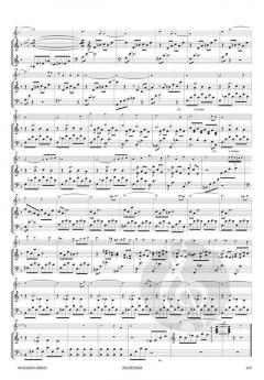 Ave Maria von'Bach bis Piazzolla' 