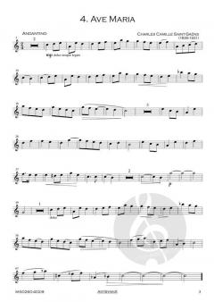 Ave Maria von'Bach bis Piazzolla' 