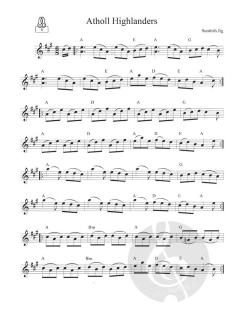 Great Fiddling Tunes - Celtic Gems von Craig Duncan 