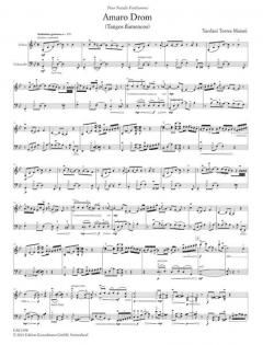 Amaro Drom von Yardani Torres Maiani 