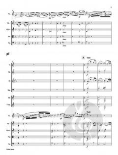 Concerto op. 129 von Robert Schumann 