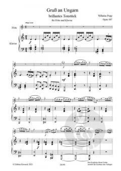 Gruß an Ungarn op. 407 von Wilhelm Popp 