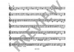 Schule für Fürst-Pless-Horn Heft 1 von Karl Benzinger 