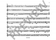 Schule für Fürst-Pless-Horn Heft 1 von Karl Benzinger 