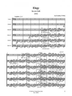 Elegy von Jan Freidlin 