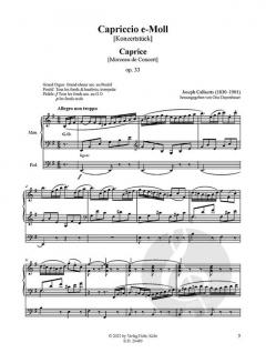 Capriccio e-Moll op. 33 von Joseph Callaerts 