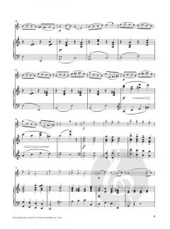 Concertino in Russian Style op. 35 von Alexei Janschinow 