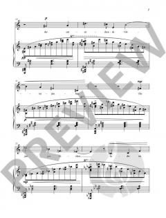 Fünf Lieder op. 99 von Stefan Heucke 