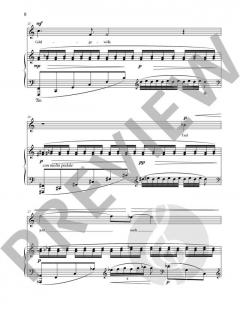 Fünf Lieder op. 99 von Stefan Heucke 