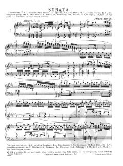 20 Sonatas For Piano Book 1 von Joseph Haydn 