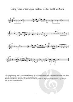 100 Ultimate Blues Riffs for Trumpet von Andrew D. Gordon im Alle Noten Shop kaufen