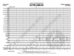 Calypso Angelical von Steve Shanley 