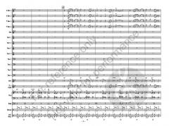 Calypso Angelical von Steve Shanley 