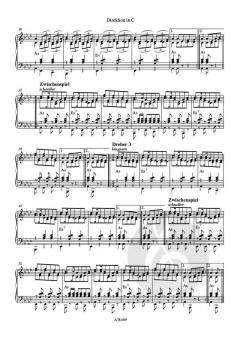 Deutsche Dreher von Tanngrindler Musikanten 